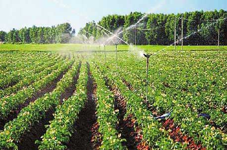 农业浇灌、养殖